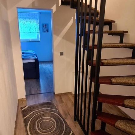 Zentrale Messe/Ferien Whg Mit Garten & Parkplatz راتينغن المظهر الخارجي الصورة