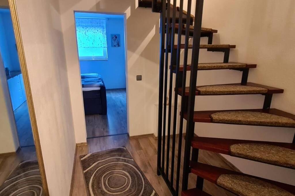 Zentrale Messe/Ferien Whg Mit Garten & Parkplatz راتينغن المظهر الخارجي الصورة