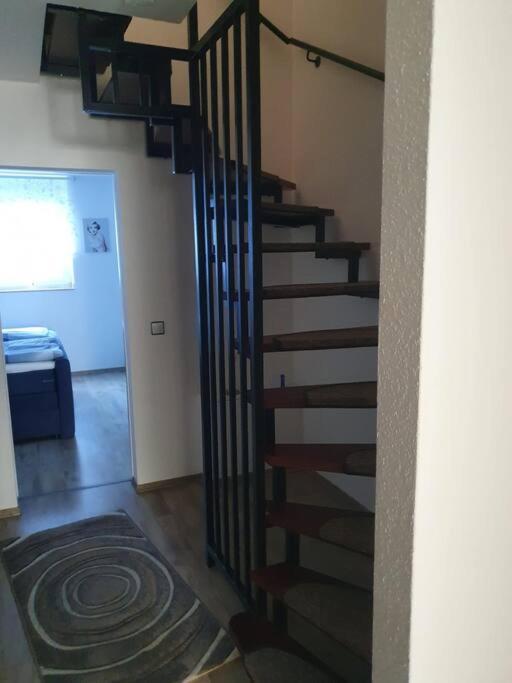 Zentrale Messe/Ferien Whg Mit Garten & Parkplatz راتينغن المظهر الخارجي الصورة